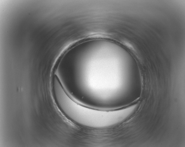 X0000065241376200602211201