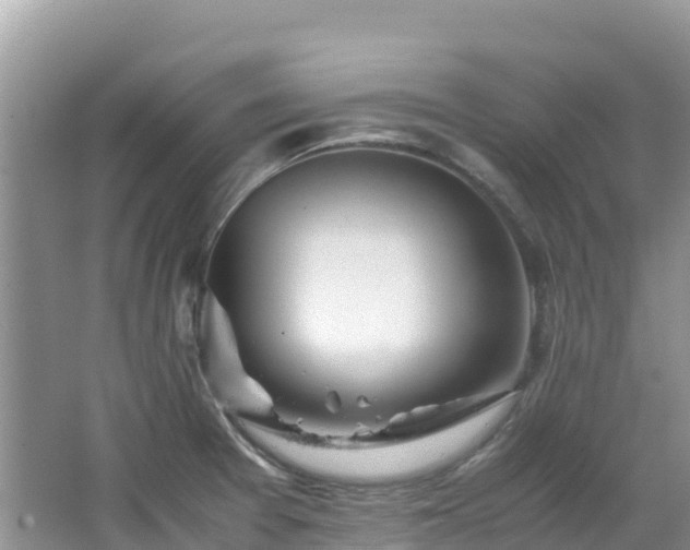 X0000065241377200602211201