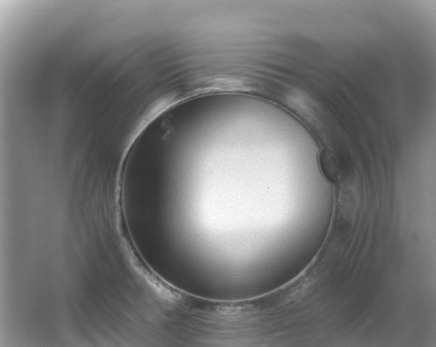 X0000065241378200602211201