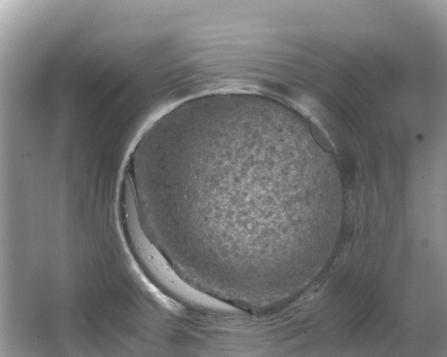 X0000065241379200602211201