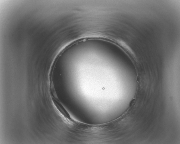 X0000065241380200602211201