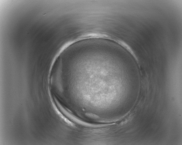 X0000065241381200602211201