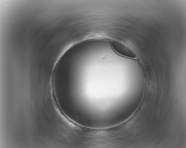 X0000065241382200602211201