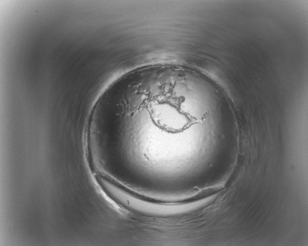 X0000065241383200602211201