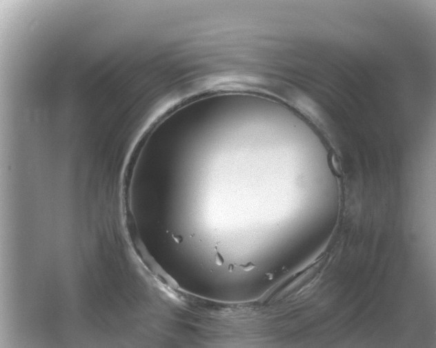 X0000065241384200602211201