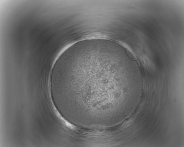 X0000065241387200602211200