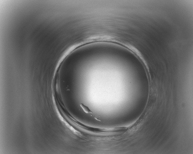 X0000065241389200602211200