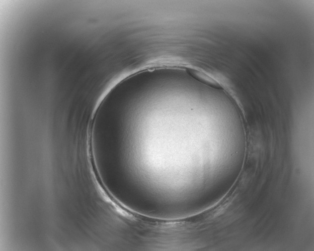 X0000065241390200602211200