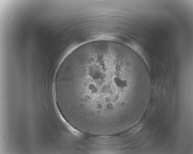 X0000065241391200602211200