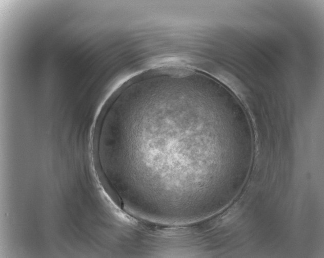 X0000065241392200602211200