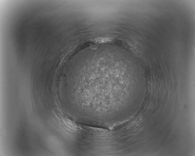 X0000065241393200602211200