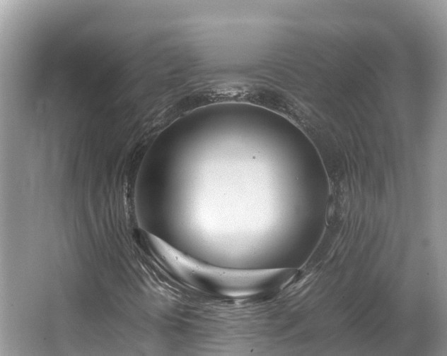 X0000065241394200602211200