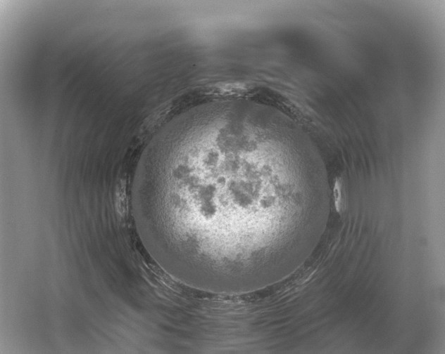 X0000065241395200602211200