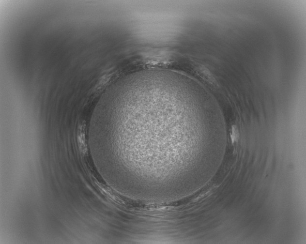 X0000065241396200602211200