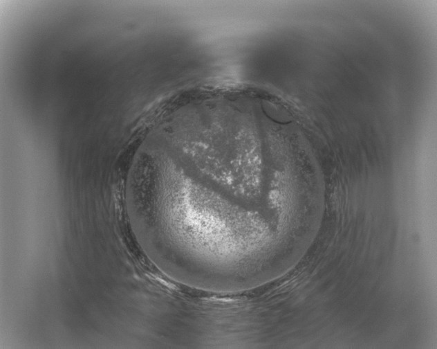 X0000065241397200602211200