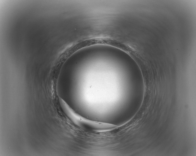 X0000065241398200602211200