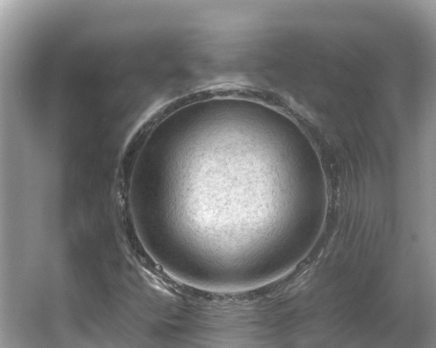 X0000065241400200602211200