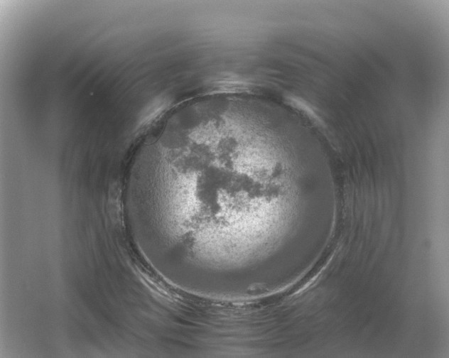 X0000065241403200602211200