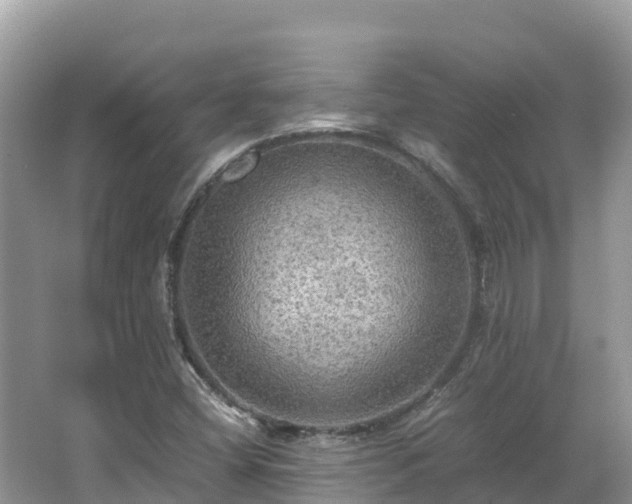 X0000065241404200602211200