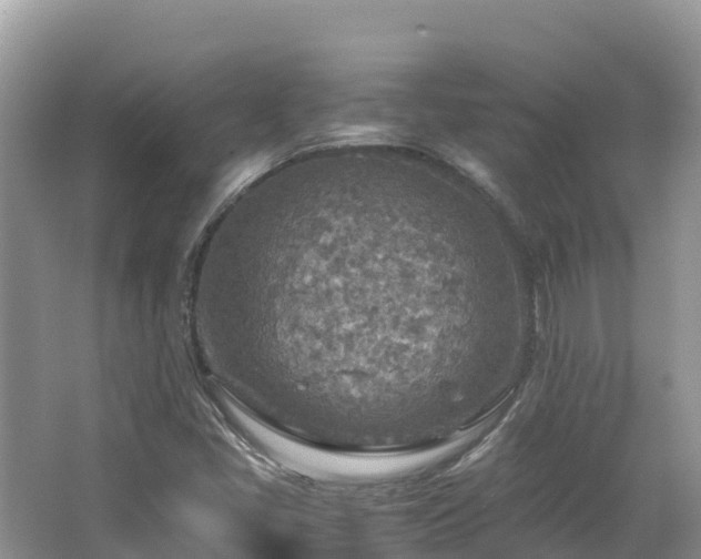 X0000065241405200602211200