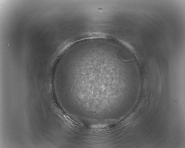 X0000065241407200602211200