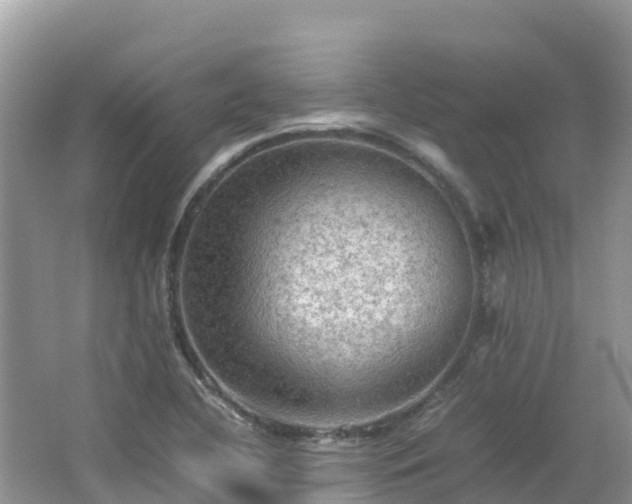 X0000065241412200602211200