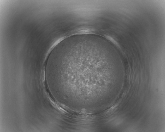 X0000065241413200602211200