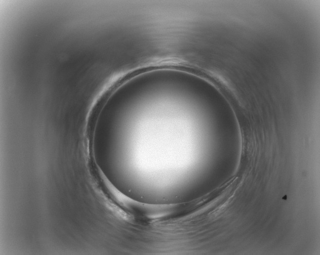 X0000065241414200602211200