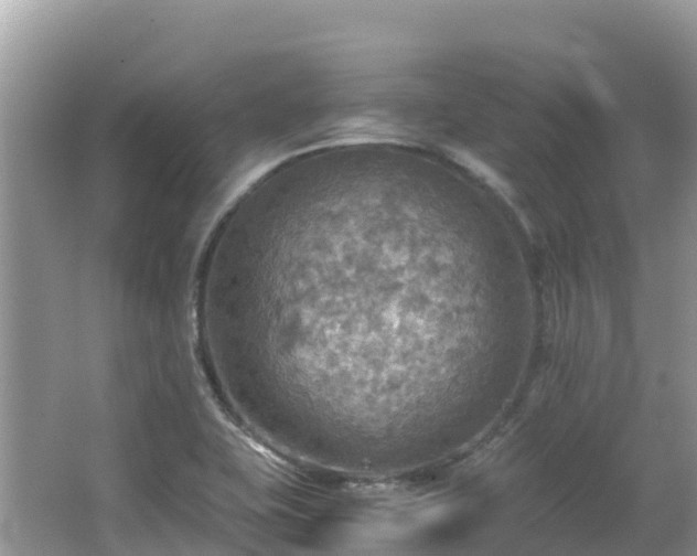 X0000065241415200602211200