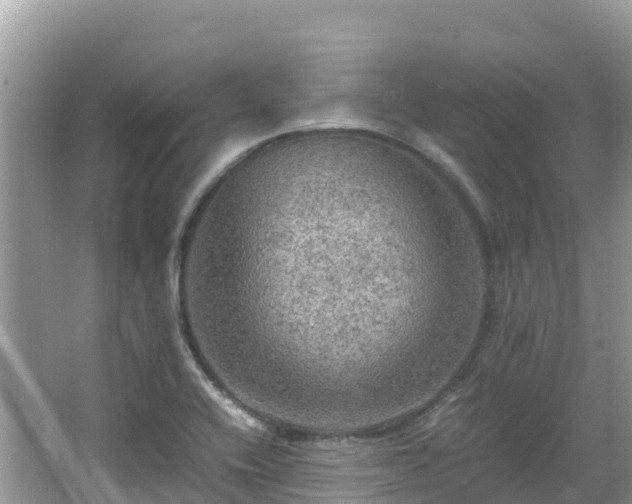 X0000065241416200602211200