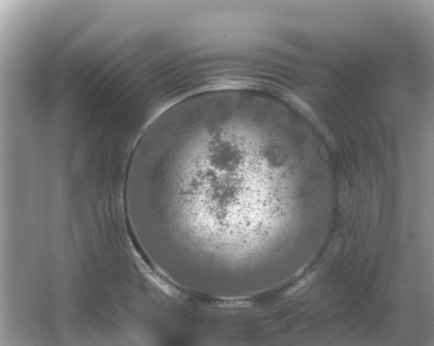 X0000065241417200602211200