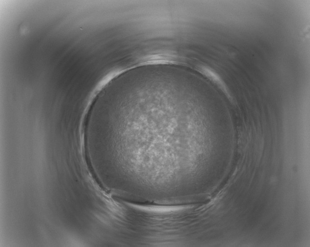 X0000065241419200602211200