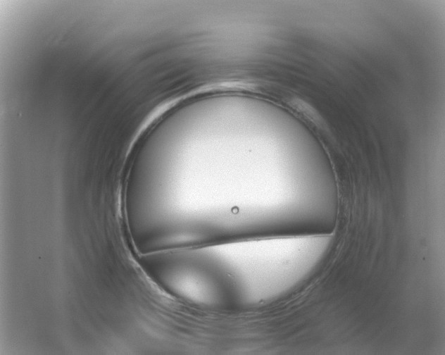 X0000065241420200602211200