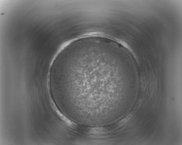 X0000065241421200602211200