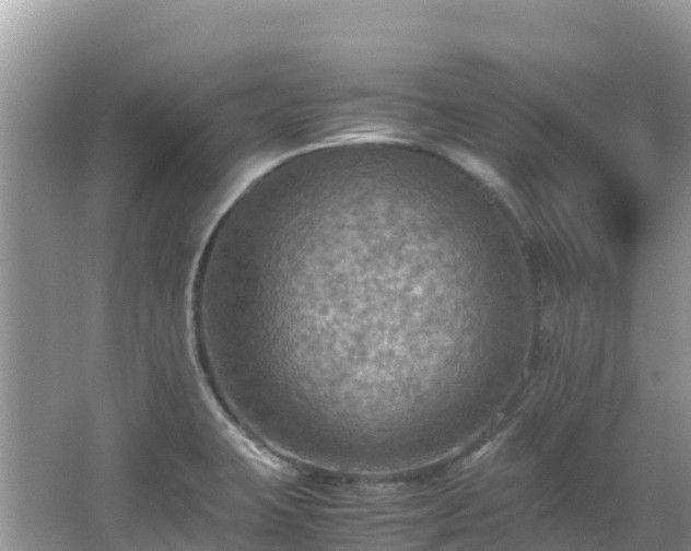 X0000065241423200602211200