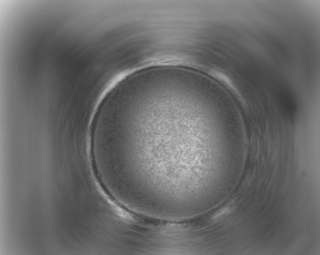 X0000065241424200602211200