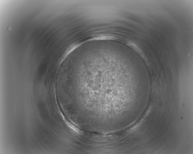 X0000065241425200602211200