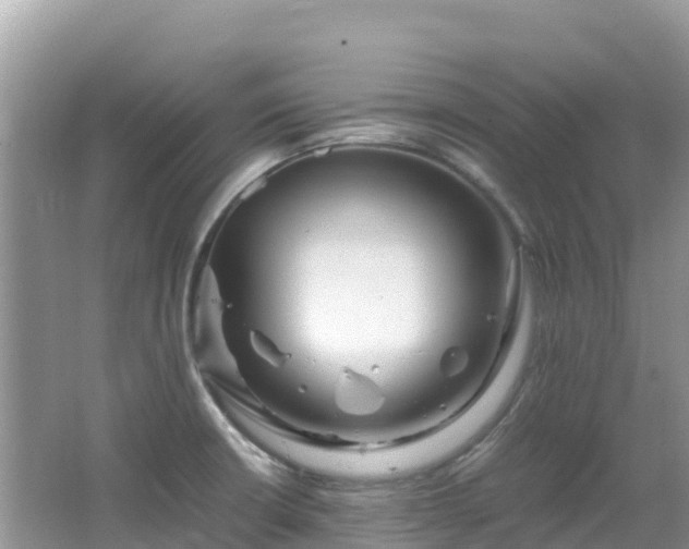 X0000065241426200602211200