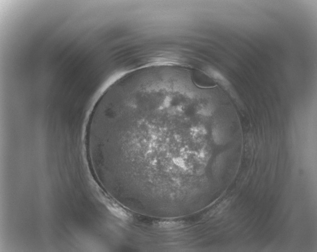 X0000065241427200602211200