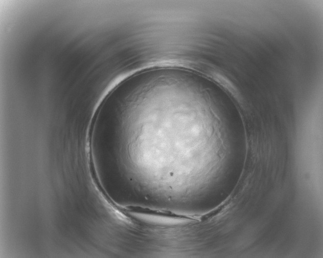 X0000065241428200602211200