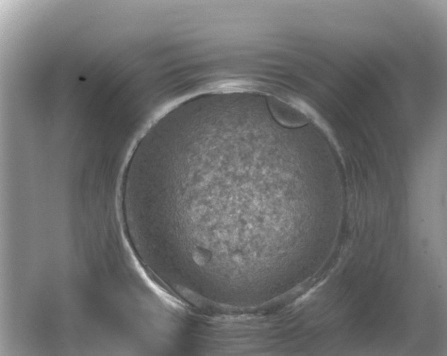 X0000065241429200602211200