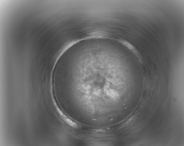 X0000065241431200602211200