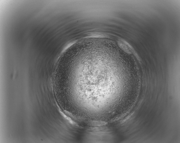 X0000065241433200602211200