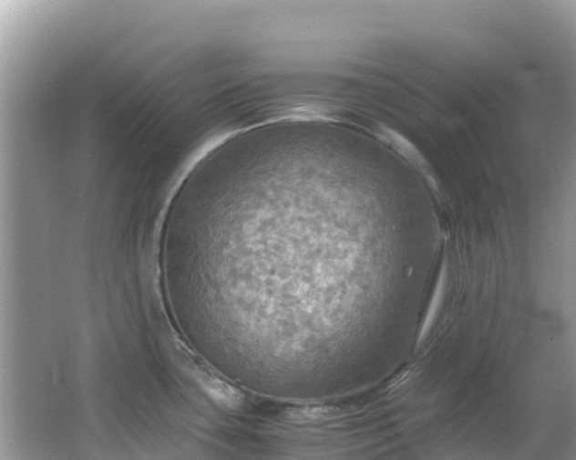 X0000065241435200602211200