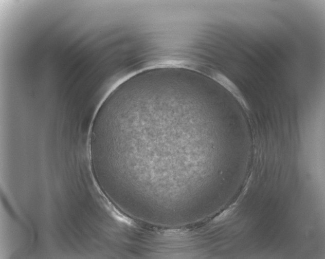 X0000065241436200602211200