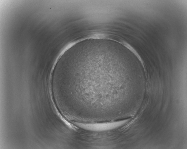 X0000065241437200602211200