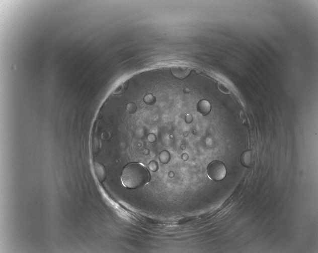 X0000065241439200602211200