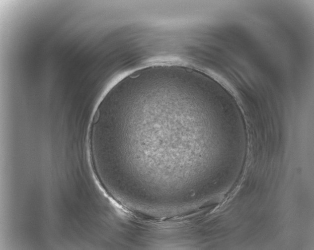 X0000065241440200602211200