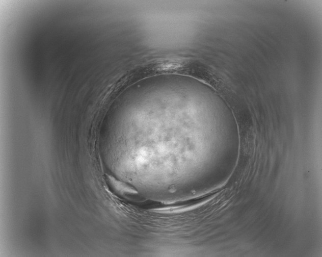 X0000065241441200602211200