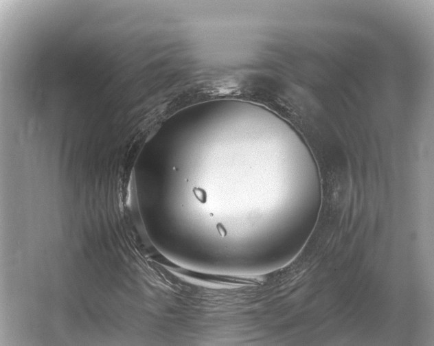 X0000065241442200602211200